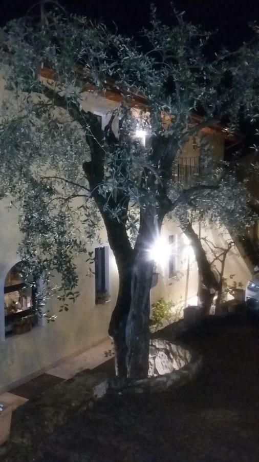 Villa Giada Torri Del Benaco Exterior foto